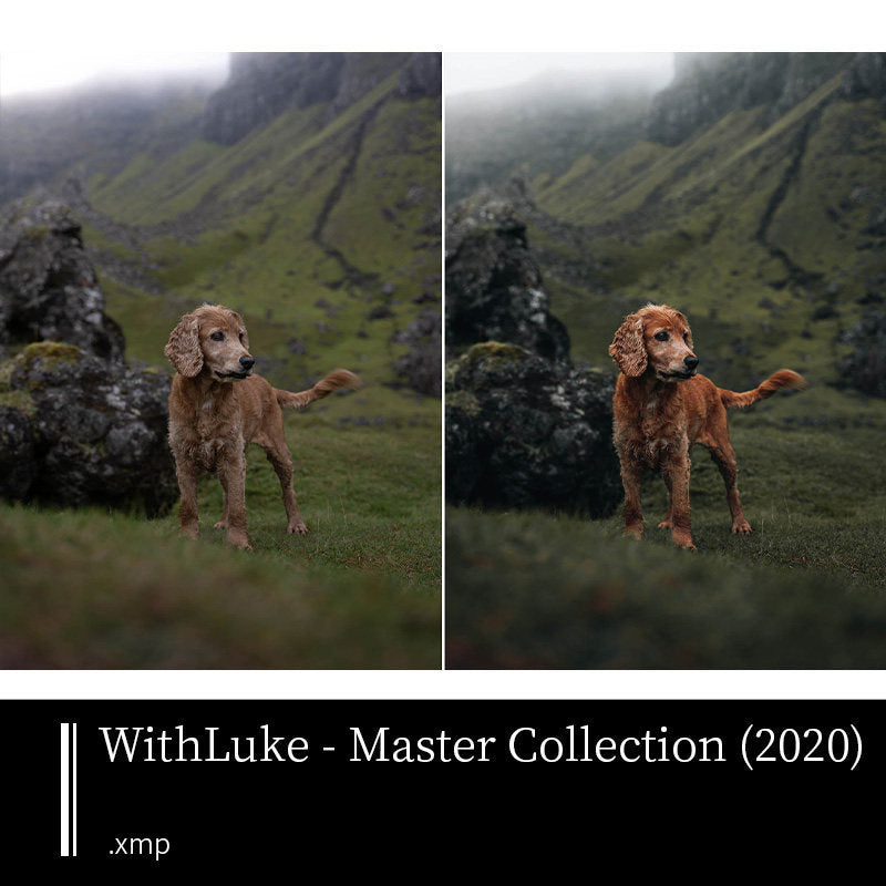 🎨 [LR Preset] Luke Master Series – travel, portrait & outdoor cinematic photography filters [MICHIGO STUDIO] 🌄📸✨