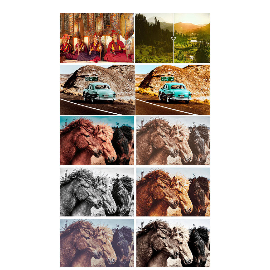 🤖 Topaz Adjust AI Plugin Smart One-Click Portrait, Landscape & HDR Color Grading Win Mac [MICHIGO STUDIO]