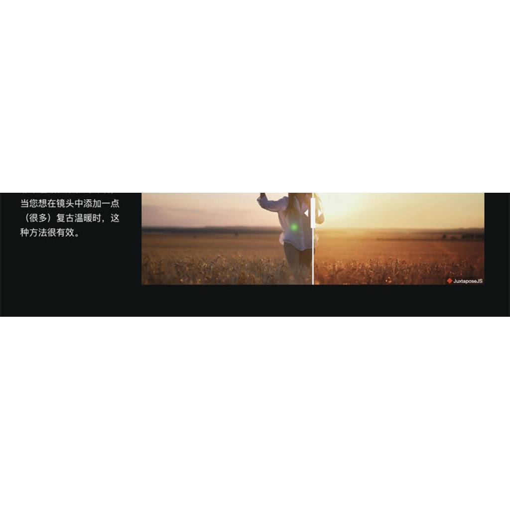 🎨 ACES Lite Look Library DaVinci Film Color Grading Preset Collection [MICHIGO STUDIO]