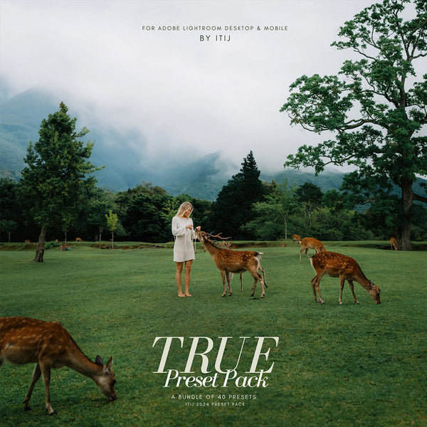 🎨 [LR Preset] Natural travel, wedding & landscape photography – Itijarve True Preset Pack [MICHIGO STUDIO] 🌿📸✨