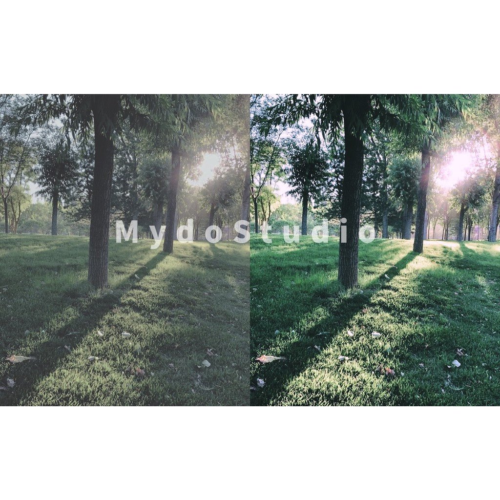 🎬 Sony Cine / HLG / SLOG Master LUTs 🎥 For DaVinci / CapCut / PR / FCPX [ MICHIGO STUDIO ] - MICHIGO STUDIO