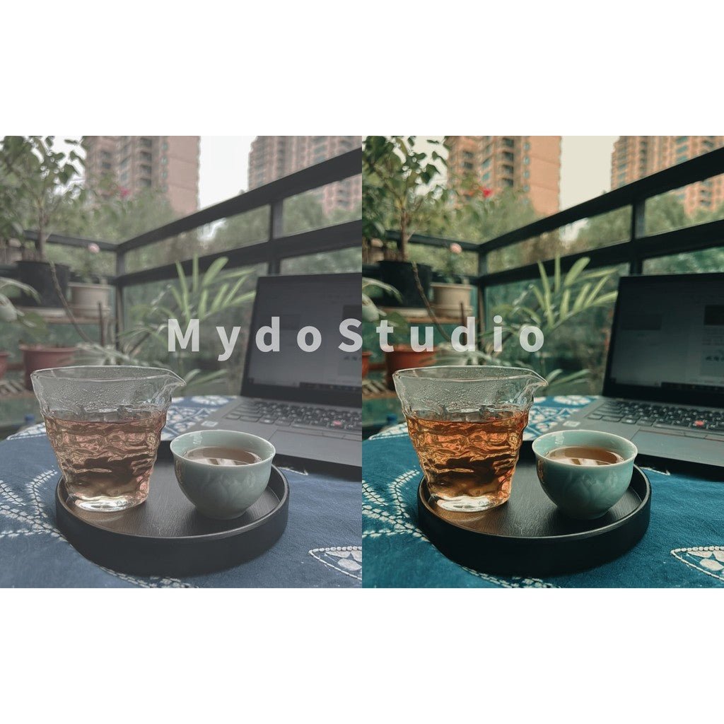 🎬 Sony Cine / HLG / SLOG Master LUTs 🎥 For DaVinci / CapCut / PR / FCPX [ MICHIGO STUDIO ] - MICHIGO STUDIO
