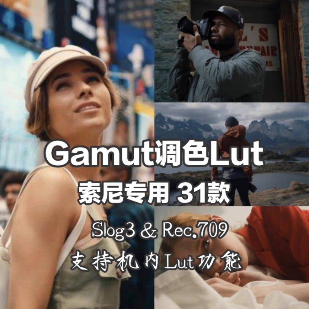 🎥 Sony Gamut LUTs (31 Presets) – For FX3, FX6, FX30, A6700, A7C2, ZV - E1 - MICHIGO STUDIO