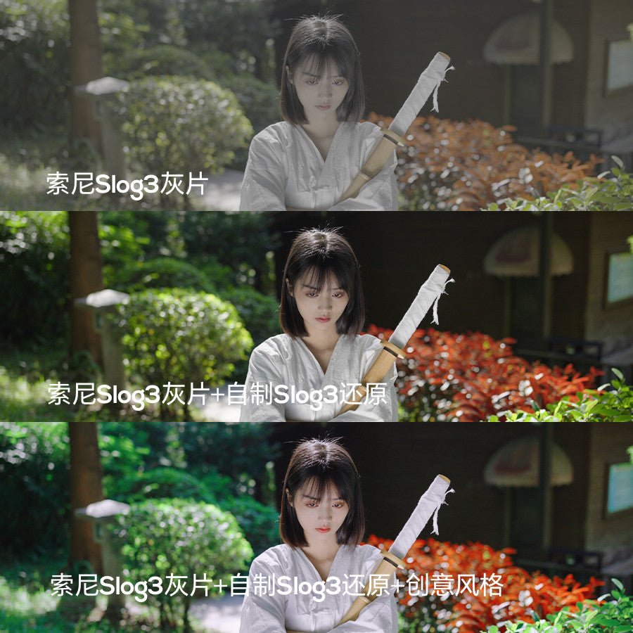 🎥 Sony Gray Log to Rec.709 LUTs – HLG / SLOG / Cine Tone Converter Presets for CapCut, PR & DaVinci - MICHIGO STUDIO