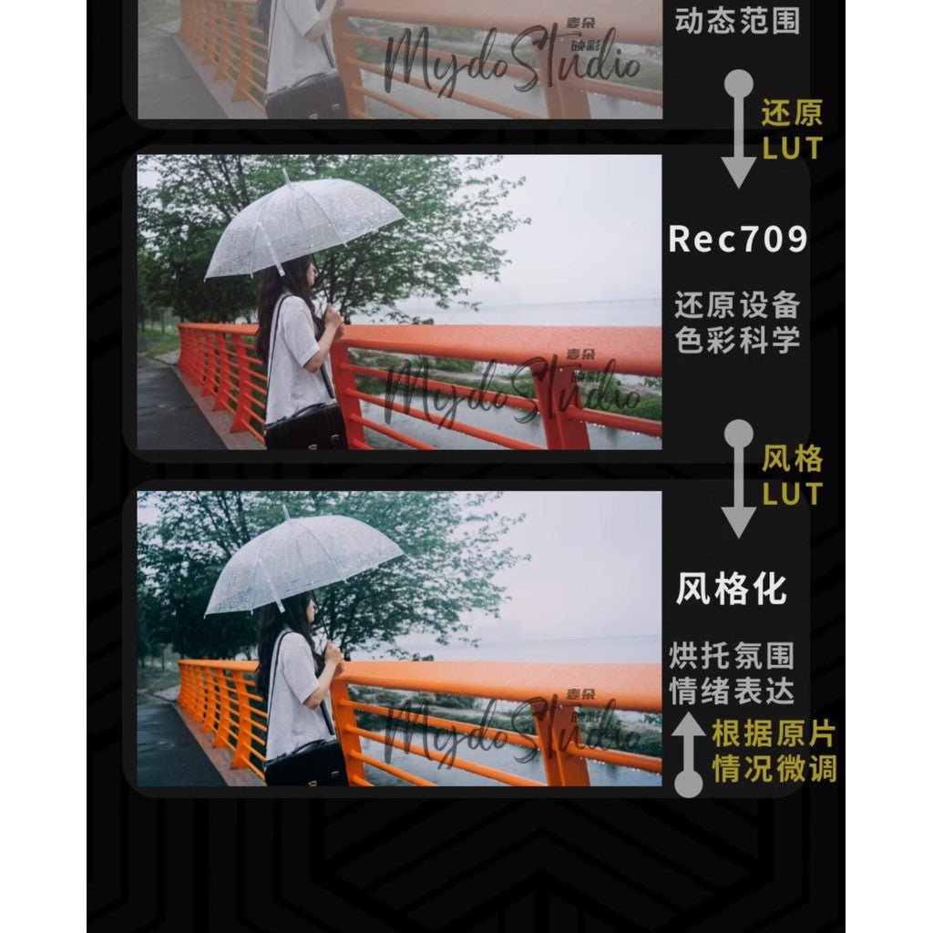 🧩 Sony Gray Recovery LUTs 🎥 SLOG / HLG / Cine to 709 Look PR / FCPX / DaVinci / CapCut [ MICHIGO STUDIO ] - MICHIGO STUDIO