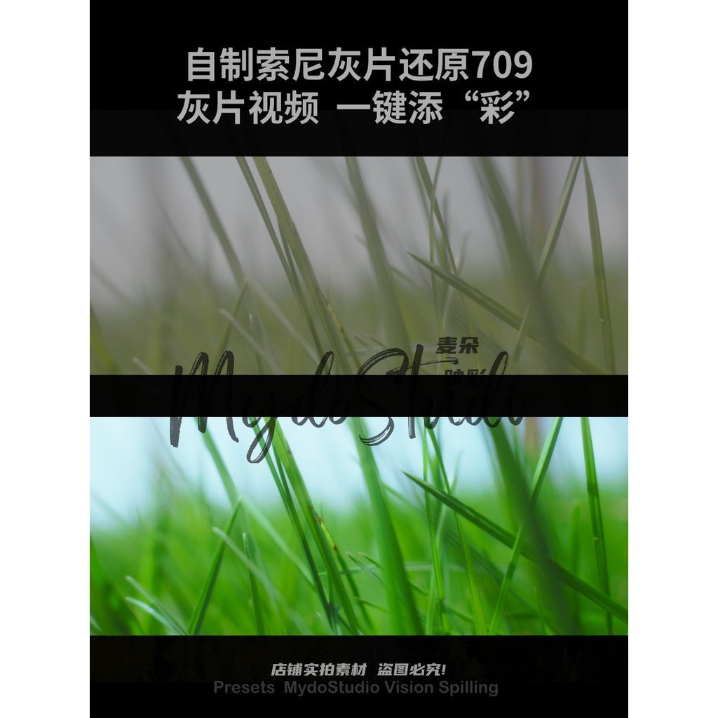 🧩 Sony Gray Recovery LUTs 🎥 SLOG / HLG / Cine to 709 Look PR / FCPX / DaVinci / CapCut [ MICHIGO STUDIO ] - MICHIGO STUDIO