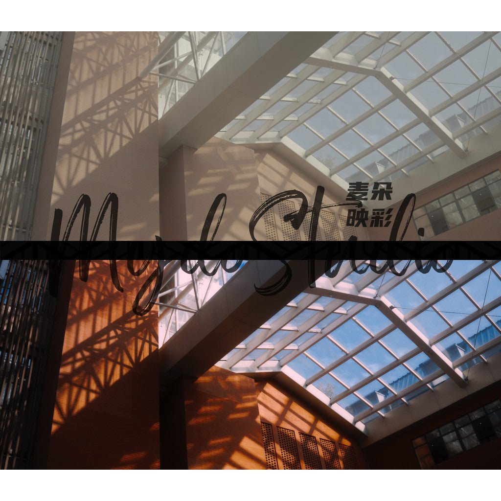 🎬 Sony In - Camera Cinematic SLOG3 Film LUTs 🎞️ PR / FCPX / CapCut / DaVinci [ MICHIGO STUDIO ] - MICHIGO STUDIO