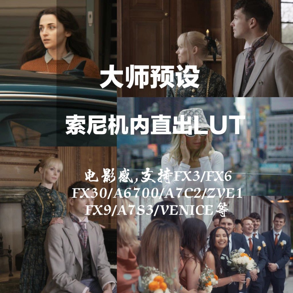 📸 Sony LUT Collection | FX3 / FX6 / FX30 / A6700 / ZV - E1 Support - MICHIGO STUDIO