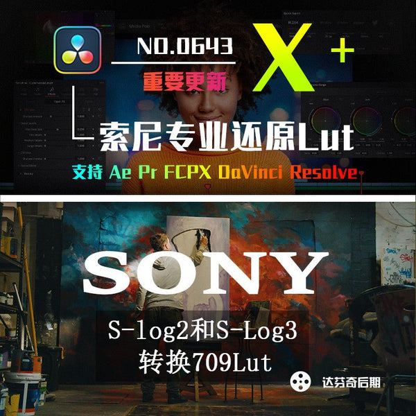 🎞️ Sony S-Log2 & S-Log3 LUT | Accurate Skin Tone & Dynamic Range