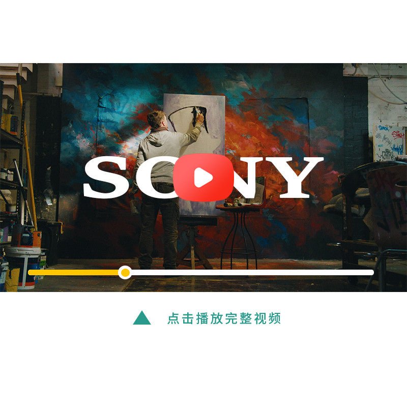 🎞️ Sony S - Log2 & S - Log3 LUT | Accurate Skin Tone & Dynamic Range - MICHIGO STUDIO