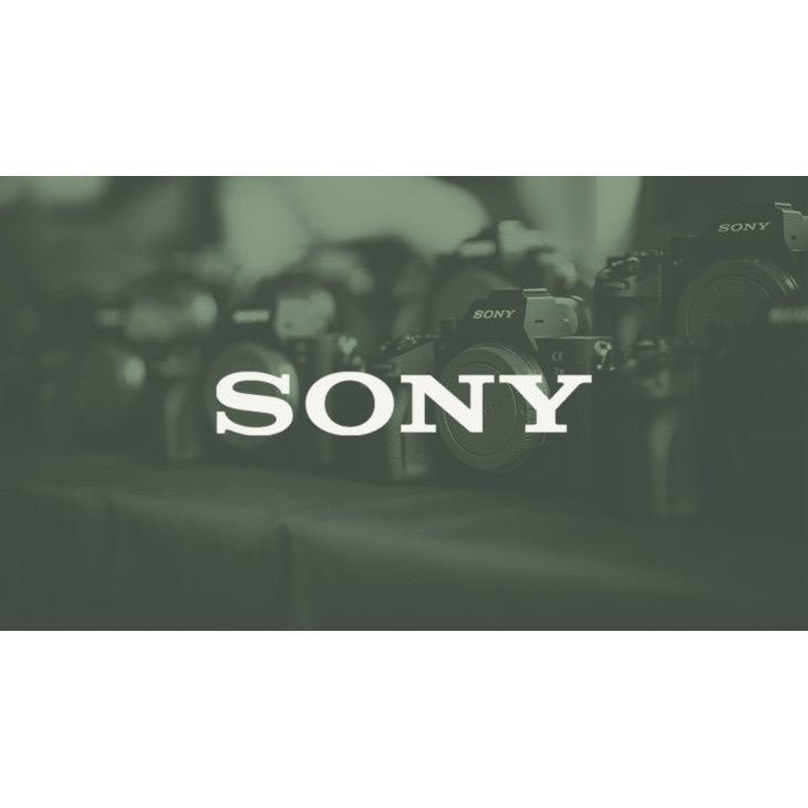 🎞️ Sony S - Log2 & S - Log3 LUT | Accurate Skin Tone & Dynamic Range - MICHIGO STUDIO