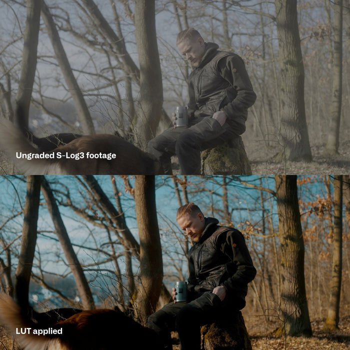 🎬 Sony S - Log3 LUT | Cinematic Look Without Rec.709 Conversion - MICHIGO STUDIO