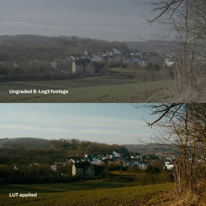 🎬 Sony S - Log3 LUT | Cinematic Look Without Rec.709 Conversion - MICHIGO STUDIO