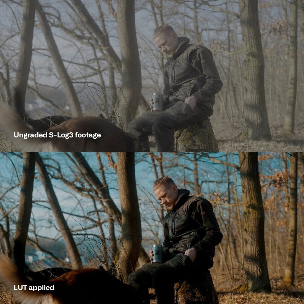 🎬 Sony S - Log3 LUT | Cinematic Look Without Rec.709 Conversion - MICHIGO STUDIO
