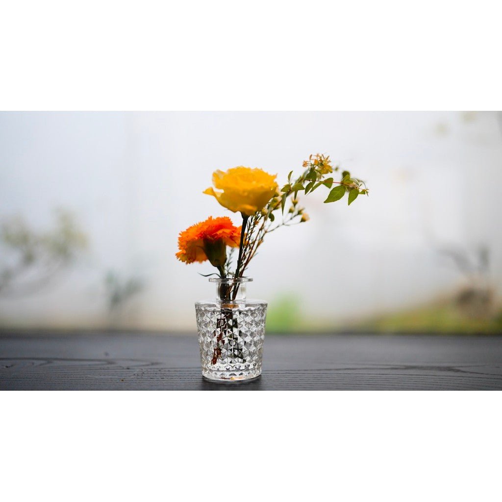 🍂 Sony S - Log3 LUTs – Warm & Soft Lifestyle Look Presets [ MICHIGO STUDIO ] - MICHIGO STUDIO