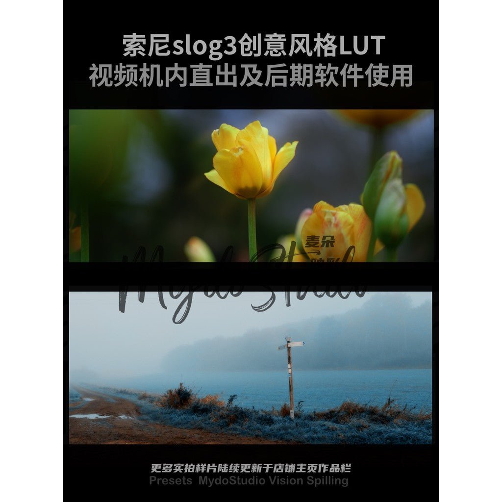 📸 Sony SLOG3 In - Cam Film LUTs 🎞️ ZVE1 / FX30 / A6700 / C2 / CR | CapCut Ready [ MICHIGO STUDIO ] - MICHIGO STUDIO