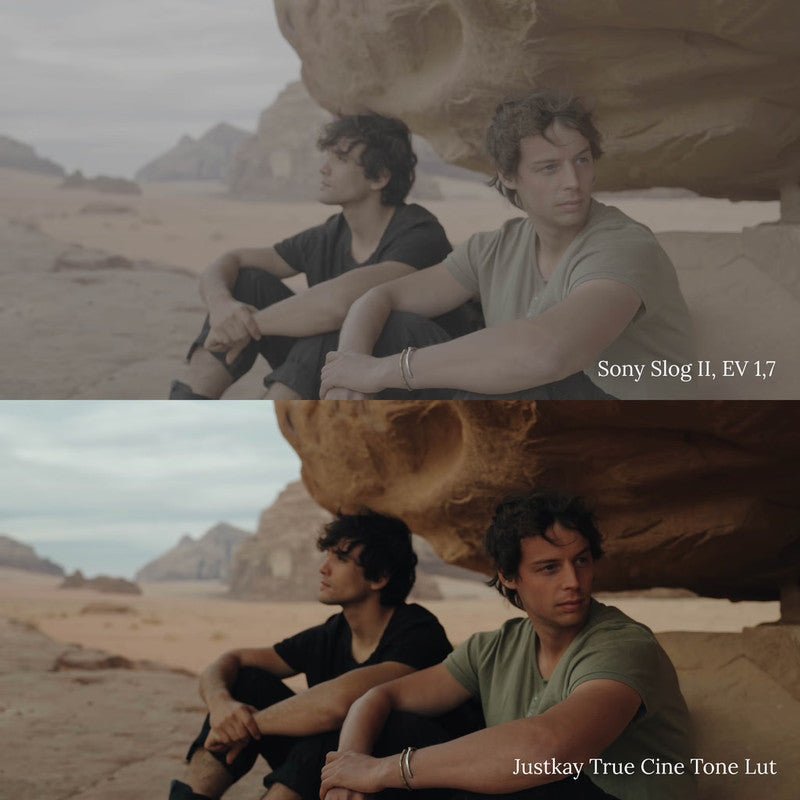 Sony True Tone Justkay Lut Pack[ MICHIGO STUDIO ] - MICHIGO STUDIO