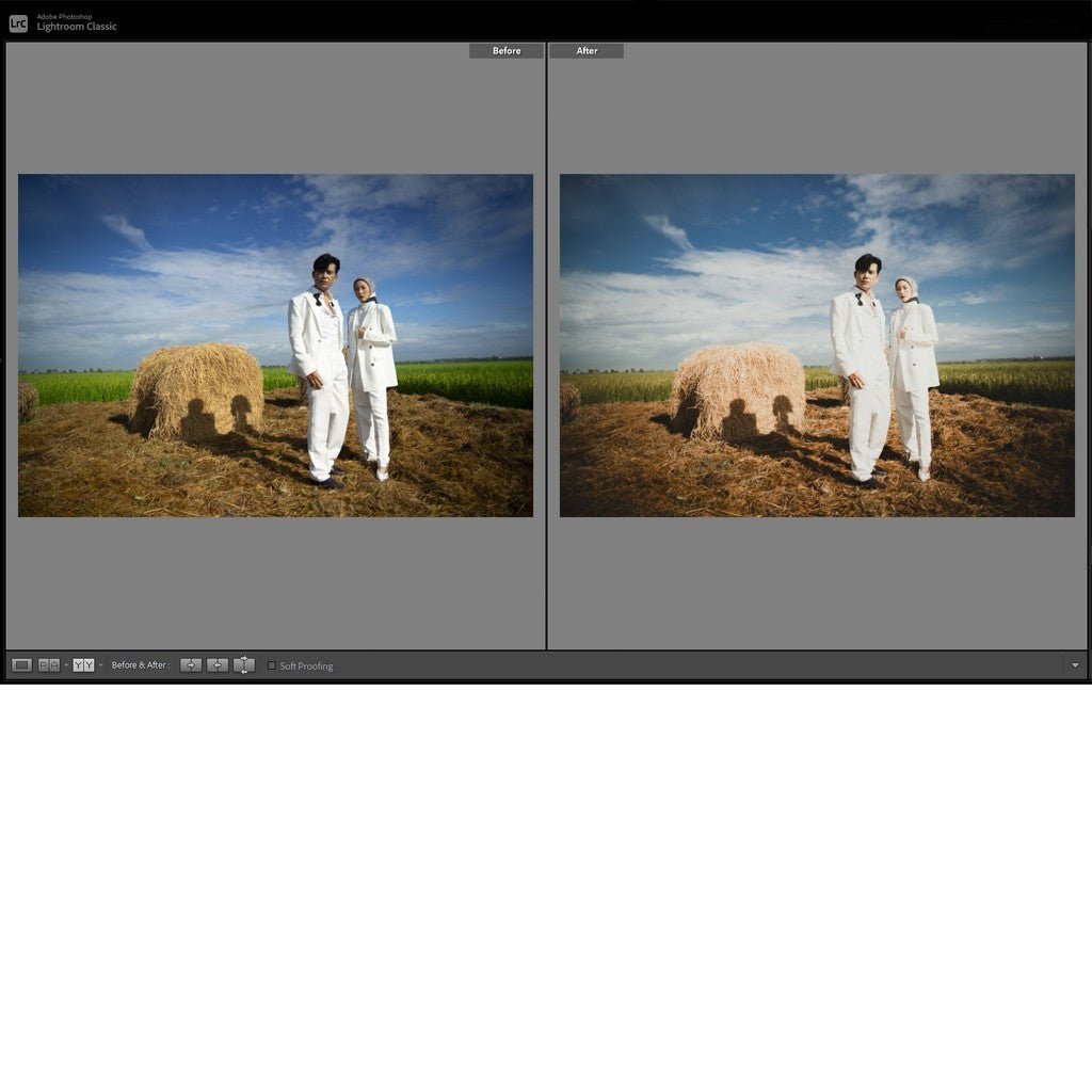 📸 THE LUXO PRESET DARK MOODY ORIGINAL LIGHTROOM PHOTOSHOP 6719 [ MICHIGO STUDIO ] 🌑 - MICHIGO STUDIO