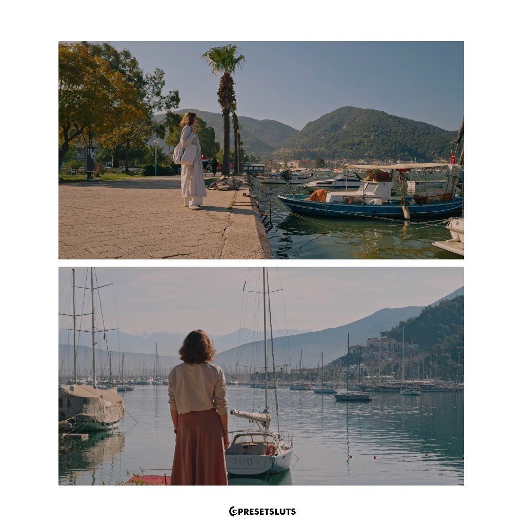 The One LUT for iPhone 15 Pro/Pro Max Apple Log 6729 [ MICHIGO STUDIO ] - MICHIGO STUDIO