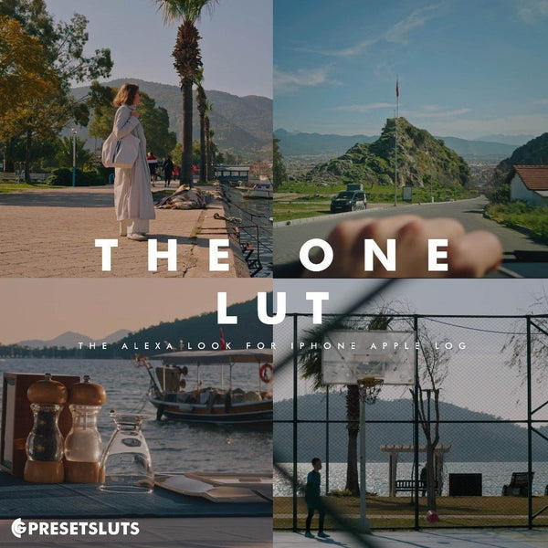The One LUT for iPhone 15 Pro/Pro Max Apple Log 6729