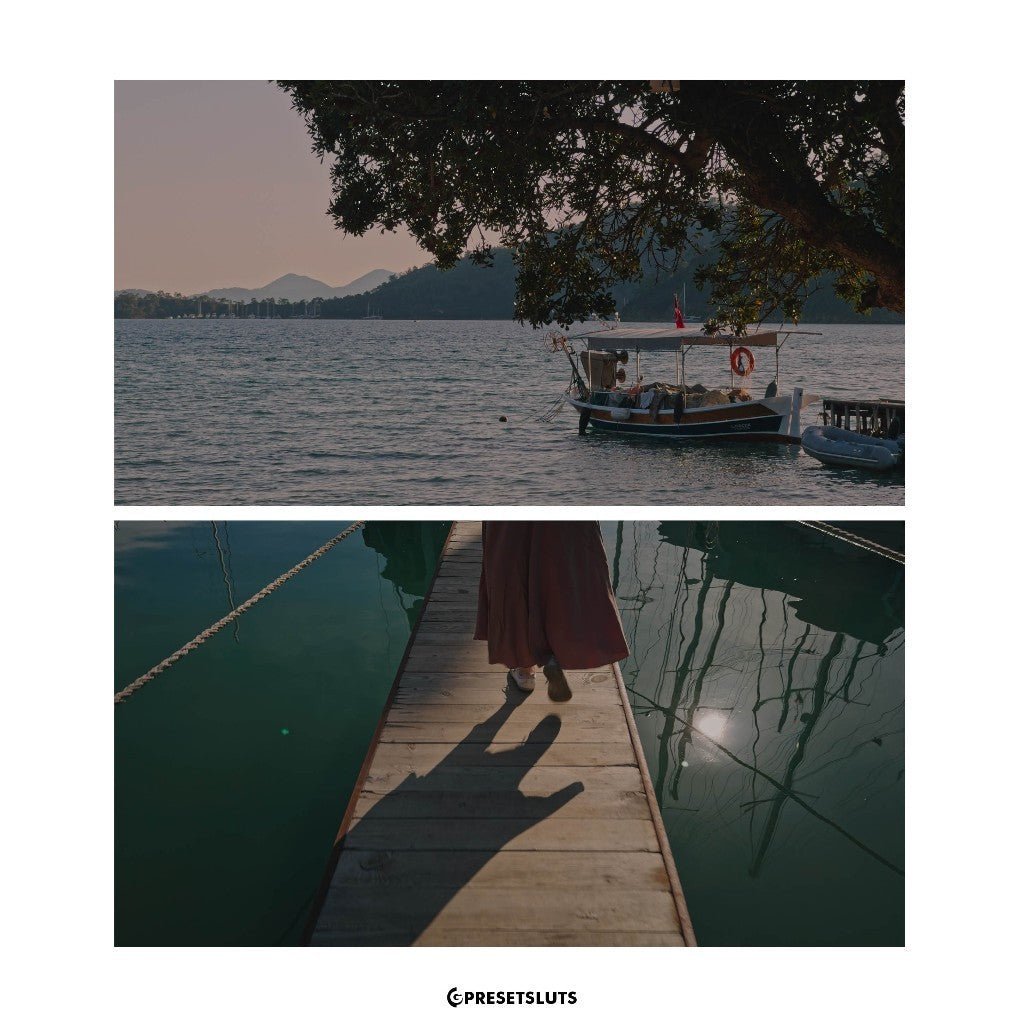The One LUT for iPhone 15 Pro/Pro Max Apple Log 6729 [ MICHIGO STUDIO ] - MICHIGO STUDIO