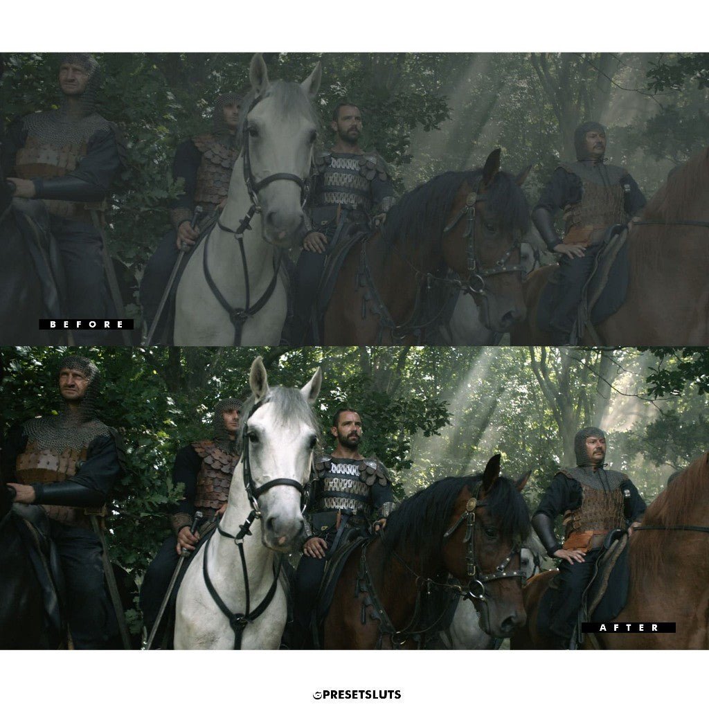 TV Looks LUTs Premiere Pro Davinci Resolve FCP[ MICHIGO STUDIO ] - MICHIGO STUDIO