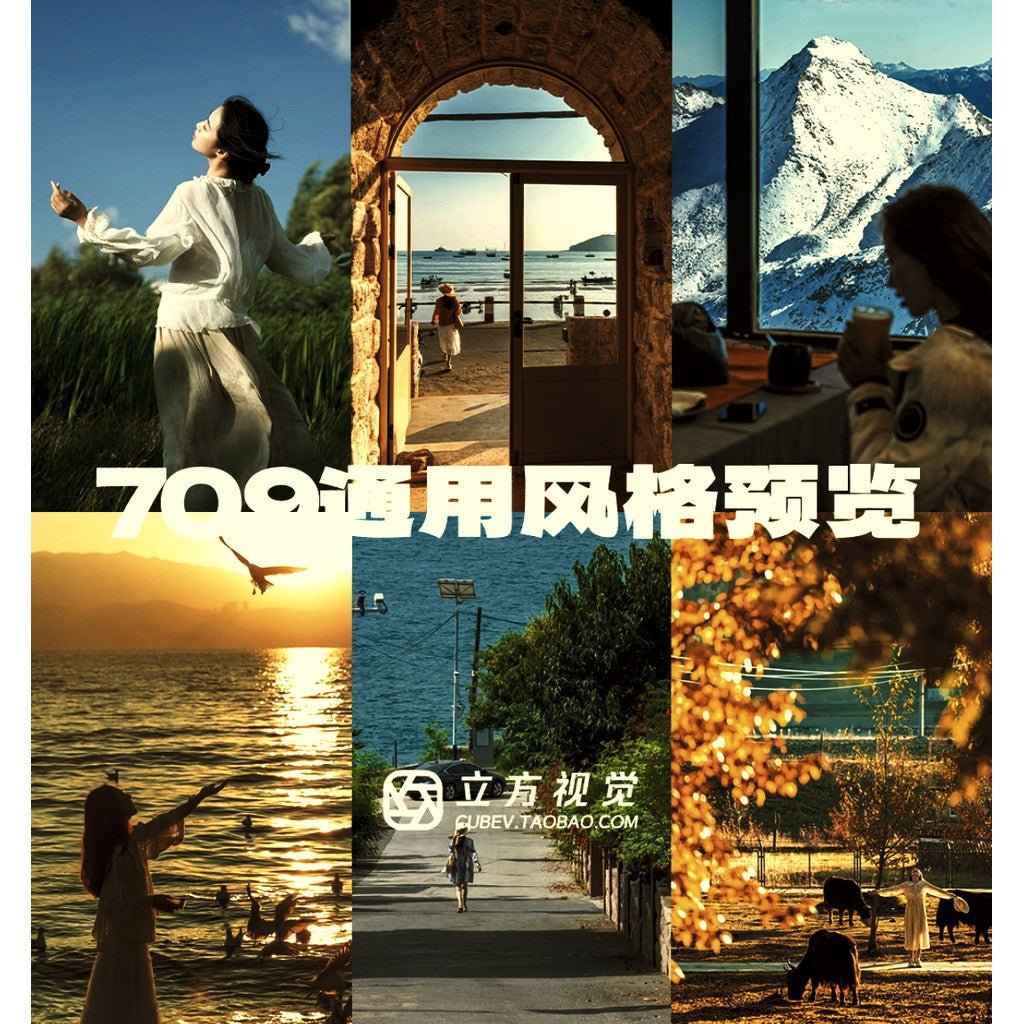 📱 Universal iPhone Rec.709 LUT – Cinematic Film Look Portrait & Fuji Video Filters (Updated Pack) 🎞️ - MICHIGO STUDIO