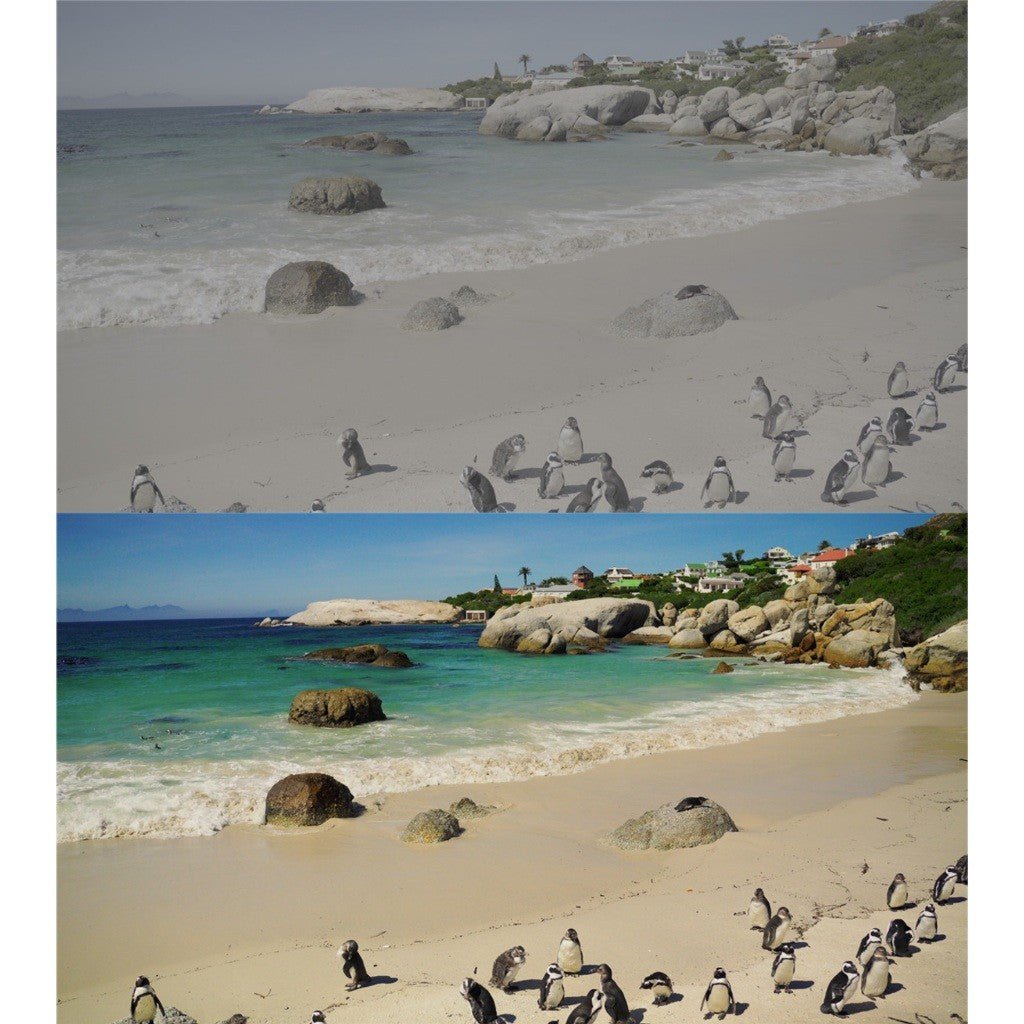Vincent Color CAPCUT Lut Pack 6718 [ MICHIGO STUDIO ] - MICHIGO STUDIO