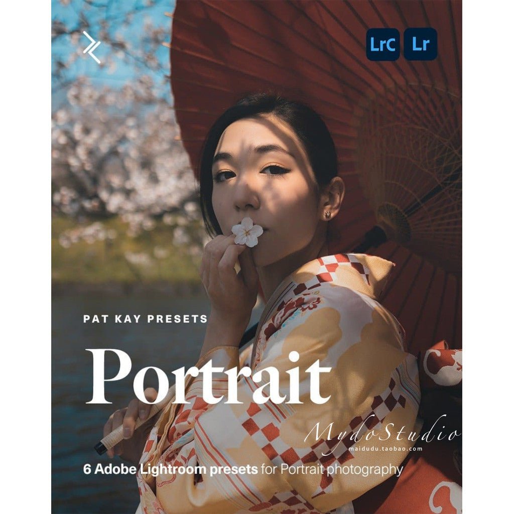 🏙️ Vlog LUT Pack – Patkay Style 📷 Urban / Street / Nature Filters LR / PR / DaVinci [ MICHIGO STUDIO ] - MICHIGO STUDIO